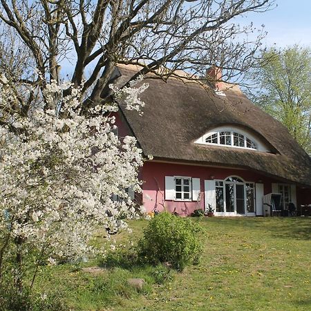 Altes Waschhaus Krakvitz Leilighet Putbus Eksteriør bilde