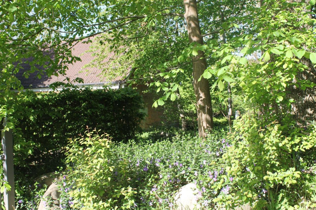 Altes Waschhaus Krakvitz Leilighet Putbus Eksteriør bilde